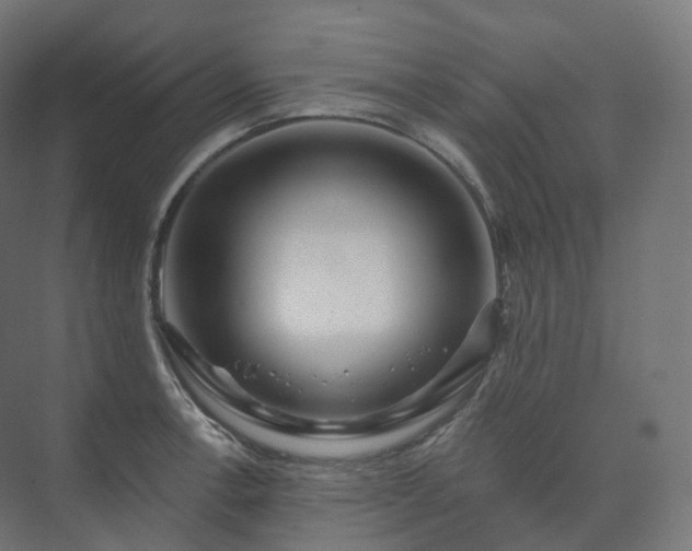 X0000073521138200608071115