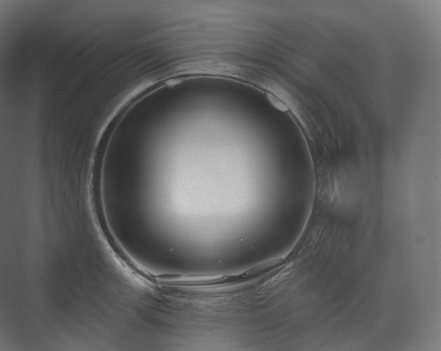X0000073521139200608071115