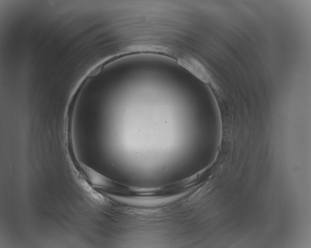 X0000073521140200608071115