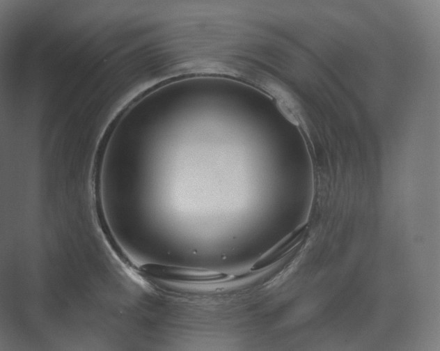 X0000073521141200608071115