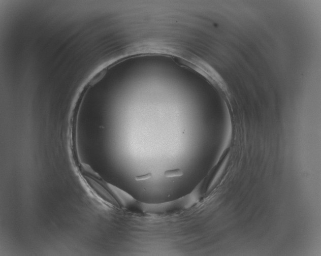 X0000073521144200608071115