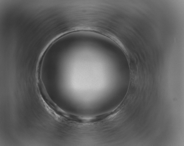 X0000073521148200608071115