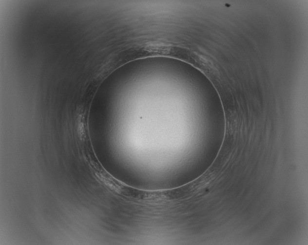 X0000073521154200608071114