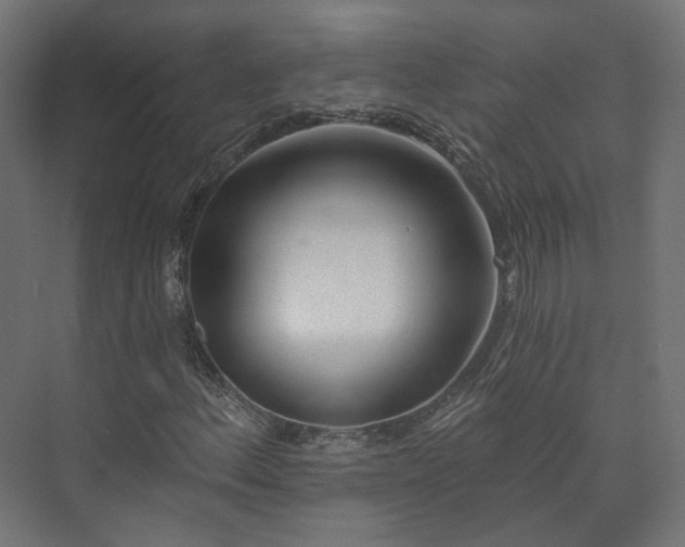X0000073521156200608071114