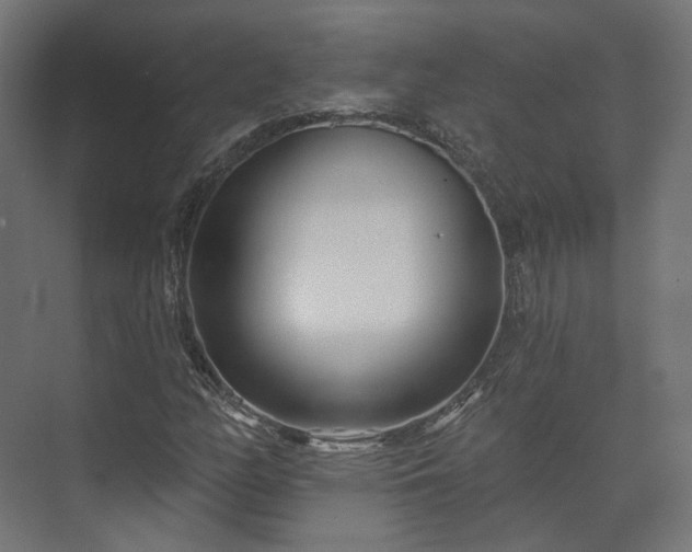 X0000073521158200608071114