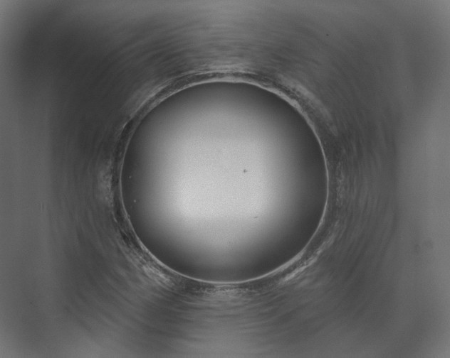 X0000073521162200608071114