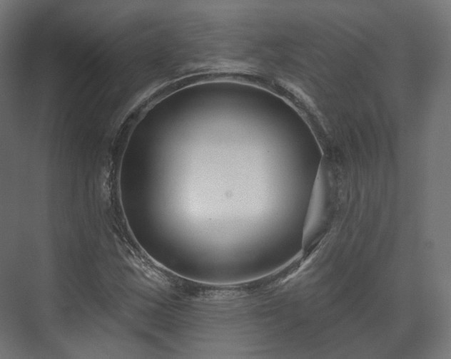 X0000073521163200608071114