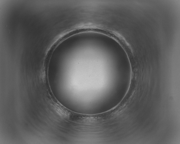 X0000073521167200608071114