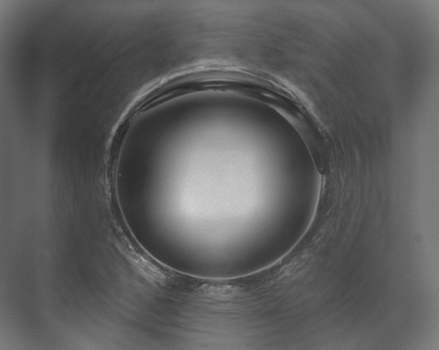 X0000073521168200608071114