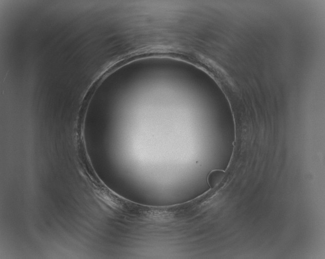 X0000073521170200608071114