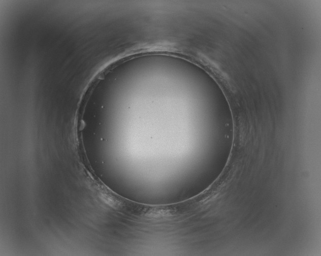 X0000073521174200608071114