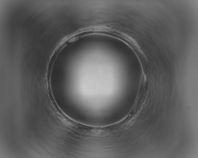 X0000073521176200608071114