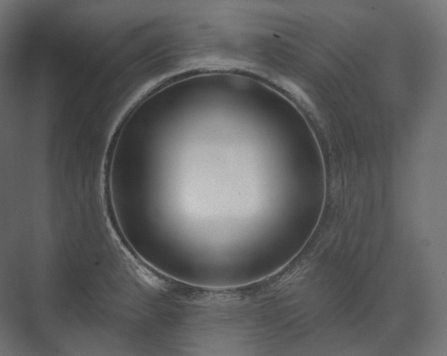X0000073521183200608071114
