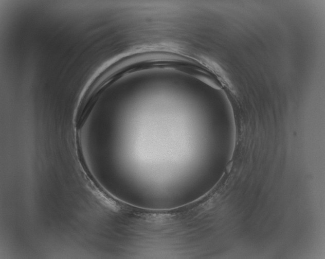 X0000073521184200608071114