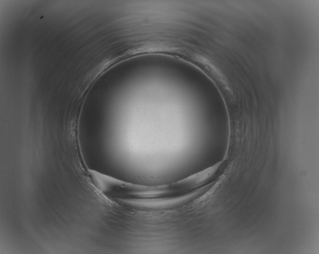 X0000073521185200608071113