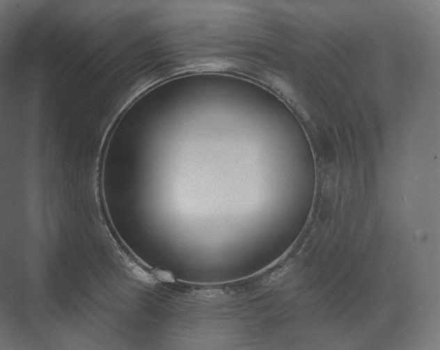 X0000073521186200608071113
