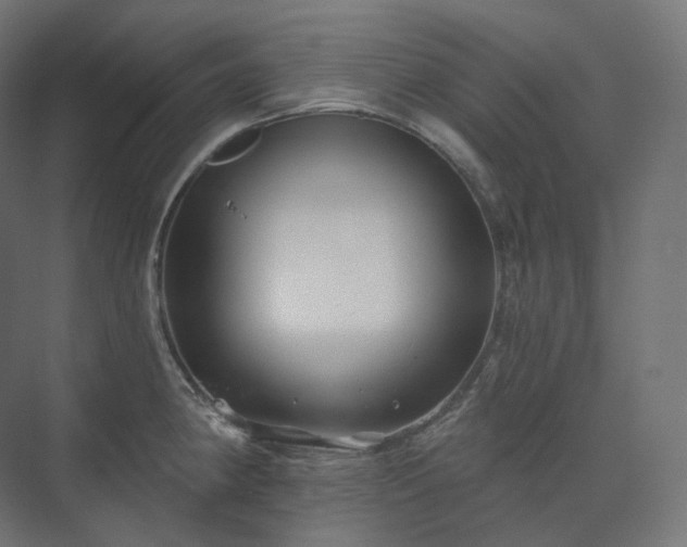 X0000073521190200608071113