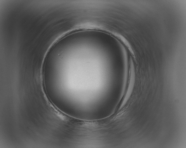 X0000073521191200608071113