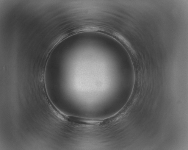 X0000073521193200608071113