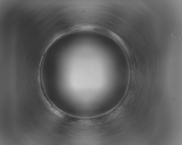 X0000073521194200608071113
