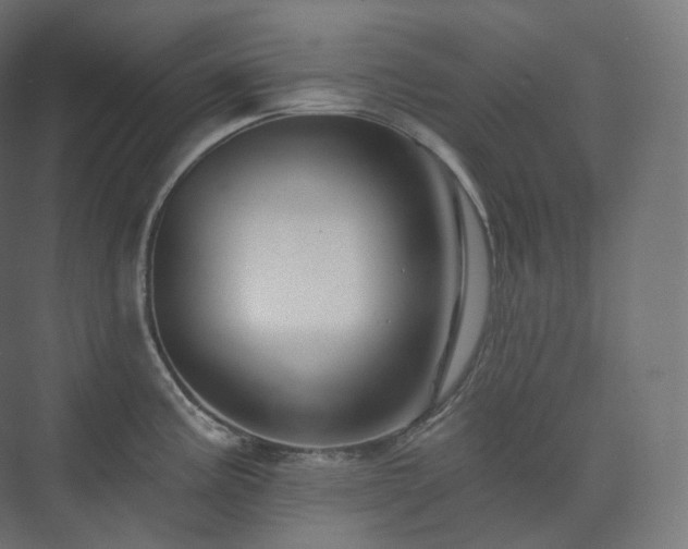 X0000073521195200608071113
