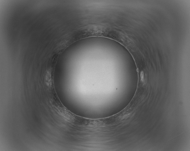 X0000073521203200608071112