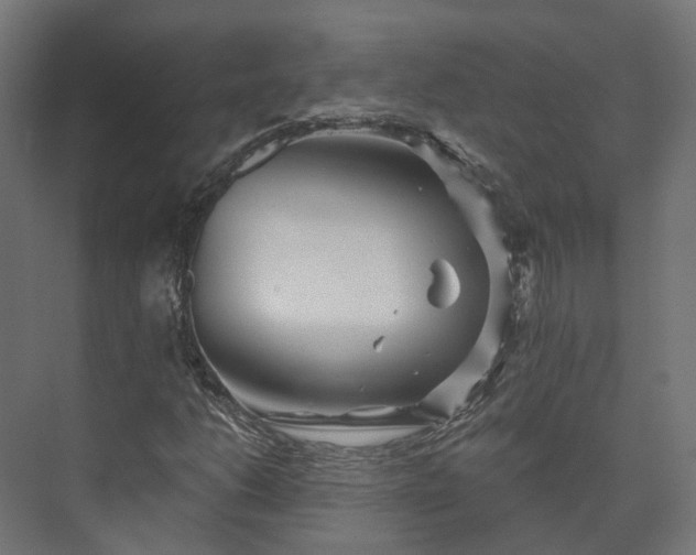 X0000073521206200608071112