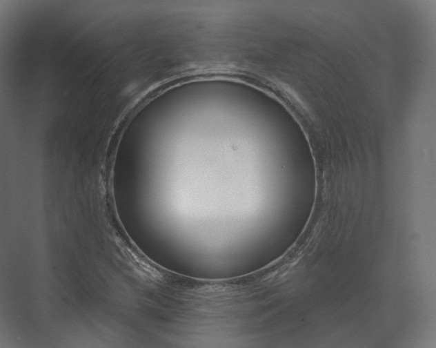 X0000073521212200608071113