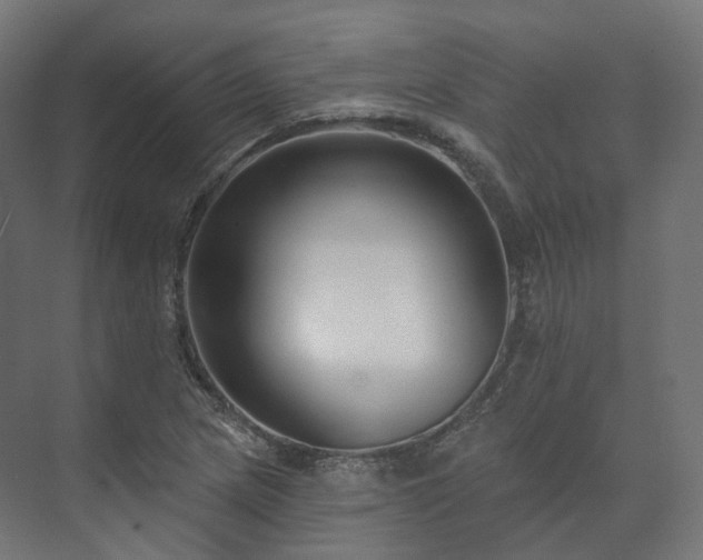 X0000073521217200608071113