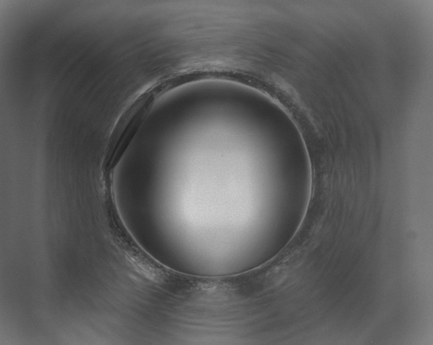 X0000073521218200608071113