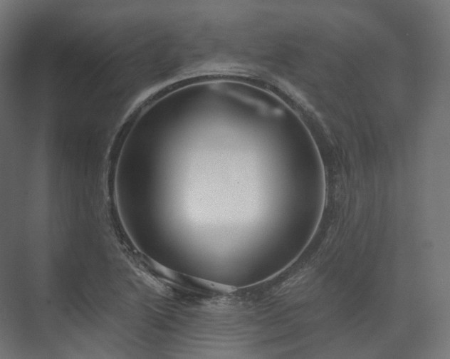 X0000073521222200608071113