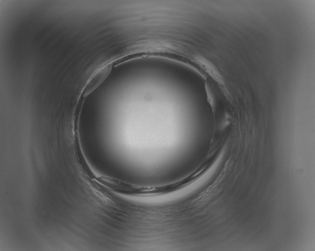 X0000073521226200608071113