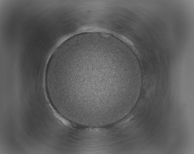 X0000073521231200608071113
