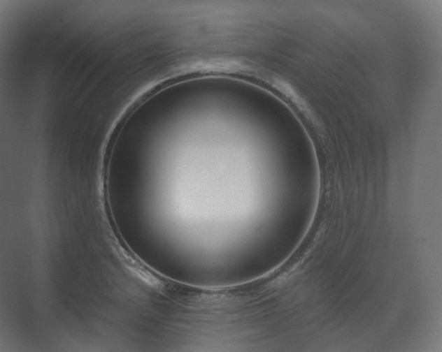 X0000073521232200608071113
