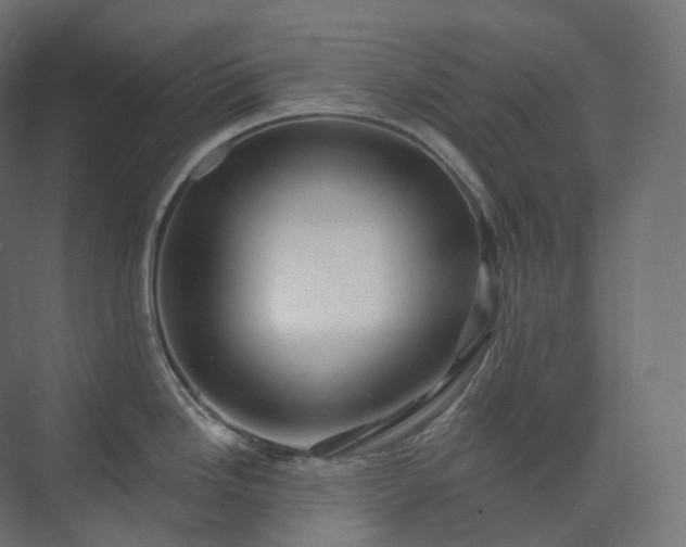 X0000073521246200608071113