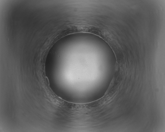 X0000073521249200608071112