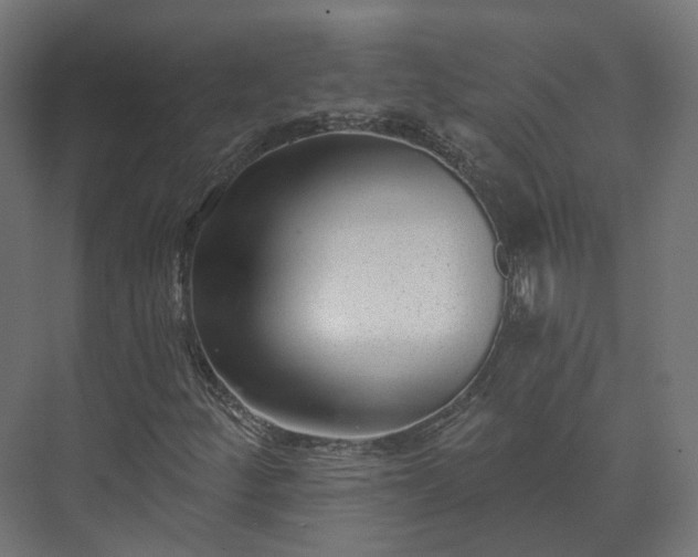 X0000073521252200608071112