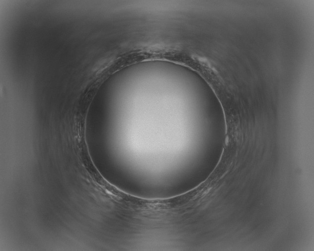 X0000073521253200608071112