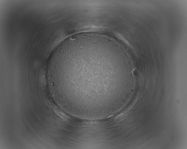 X0000073521259200608071112