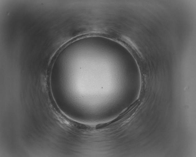 X0000073521260200608071112