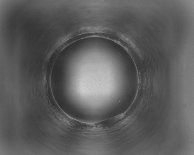 X0000073521261200608071112