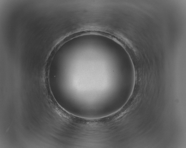 X0000073521264200608071112