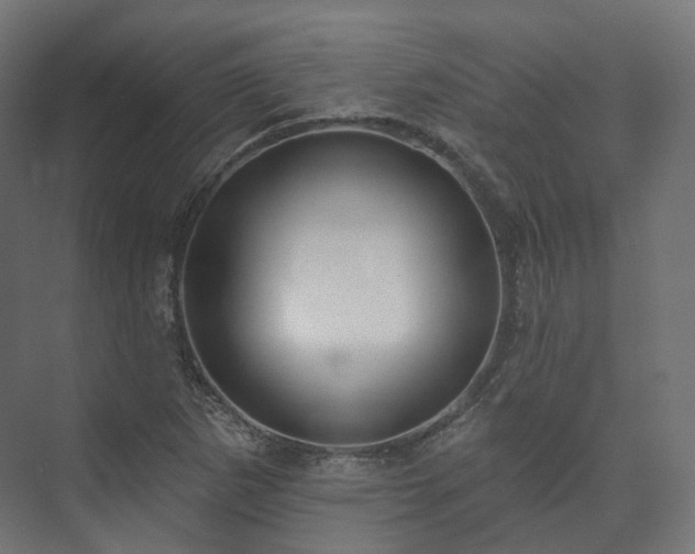 X0000073521265200608071112