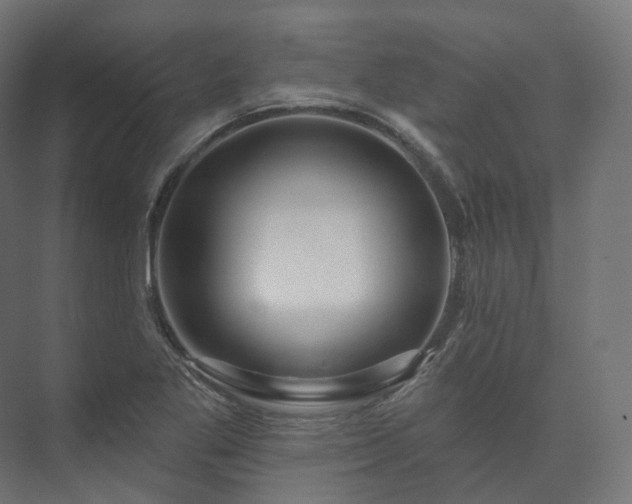 X0000073521269200608071112