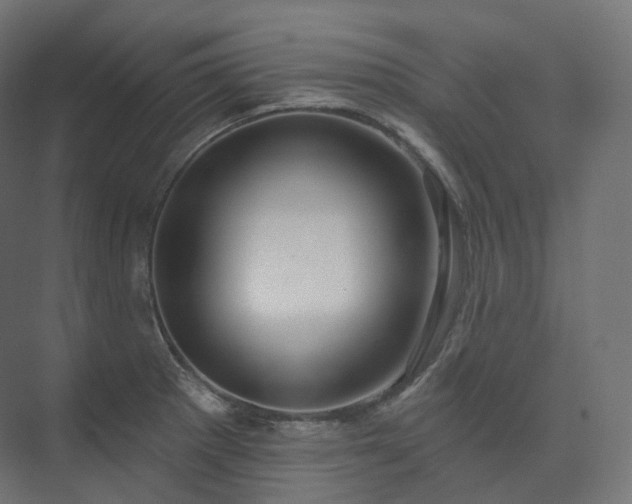 X0000073521281200608071112