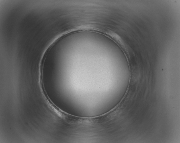 X0000073521286200608071112