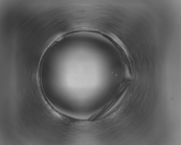 X0000073521293200608071112