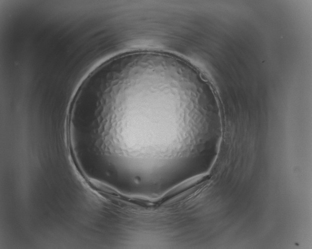 X0000073521295200608071112