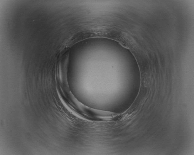 X0000073521298200608071111