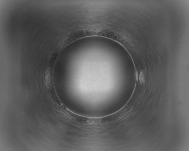 X0000073521299200608071111
